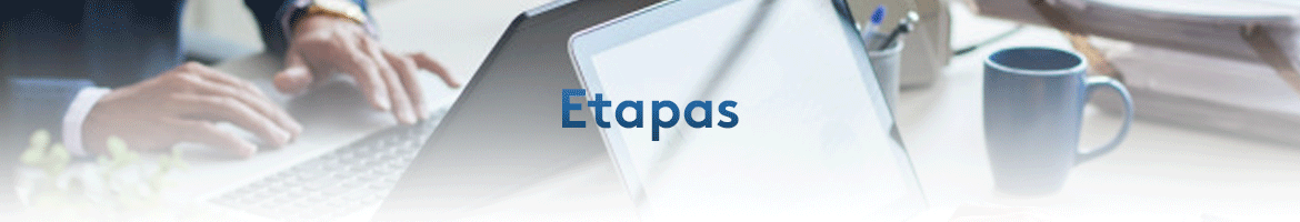 Etapas de una Licitación?