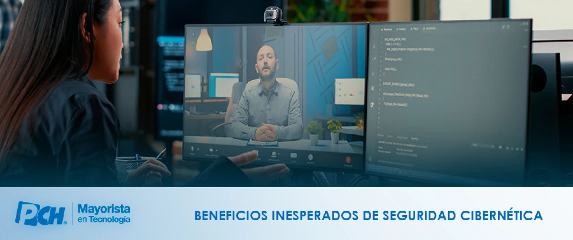 Seguridad Cibernética