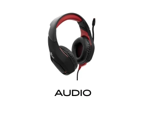 AUDIO