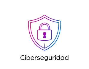 CIBERSEGURIDAD